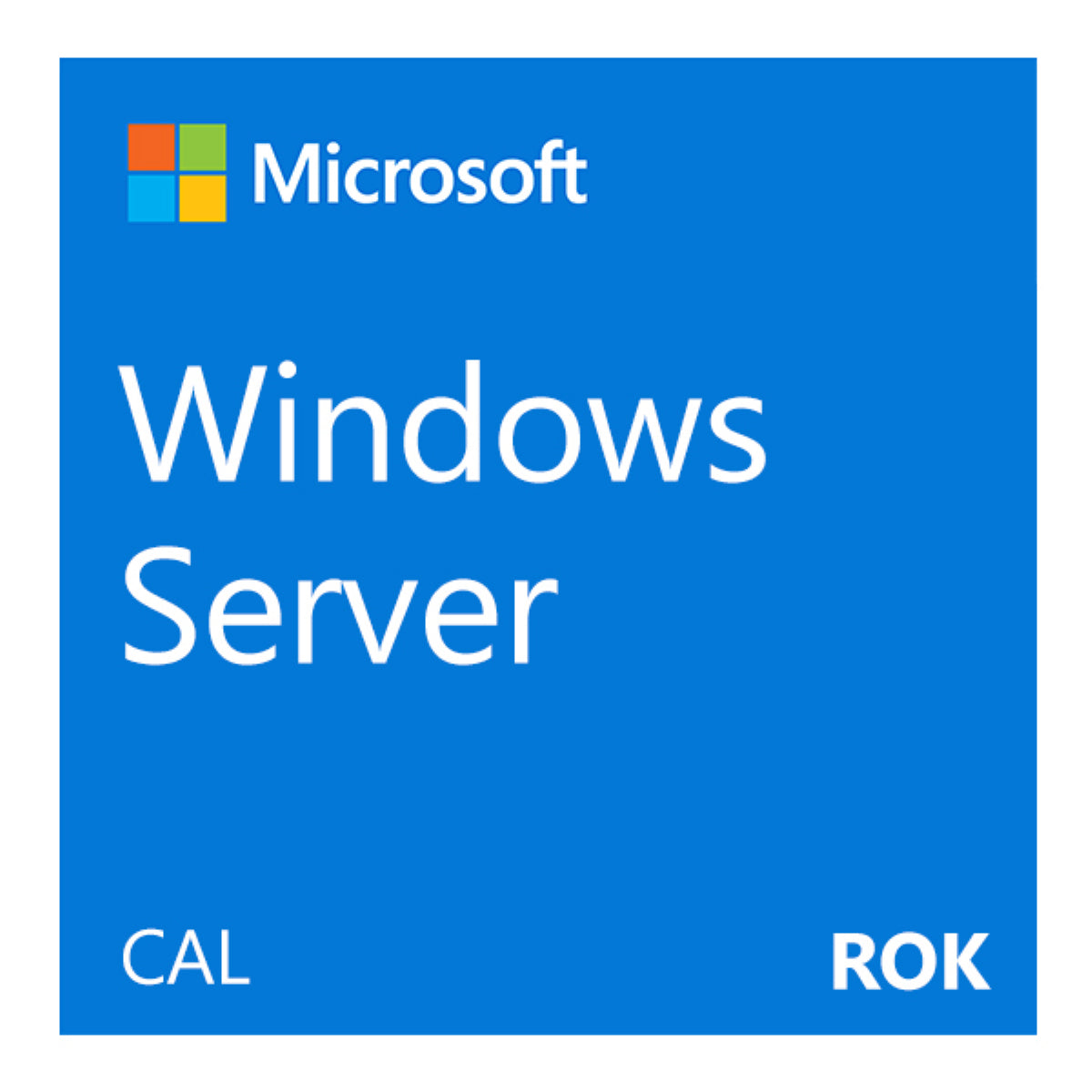 (Neu) Microsoft Windows Server 2022 10 Benutzer -Client -Zugangslizenz Worldwide Lizenzübertragungseinheit - P46217 -B21