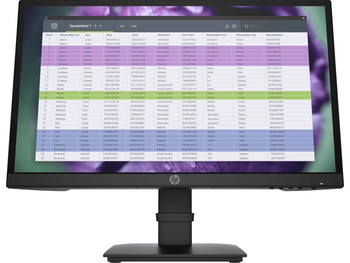 (<tc>NEU</tc>) HP P22 G4 22 FHD-Monitor