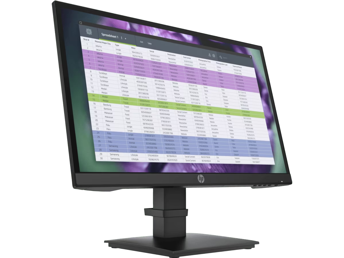 (<tc>NEU</tc>) HP P22 G4 22 FHD-Monitor