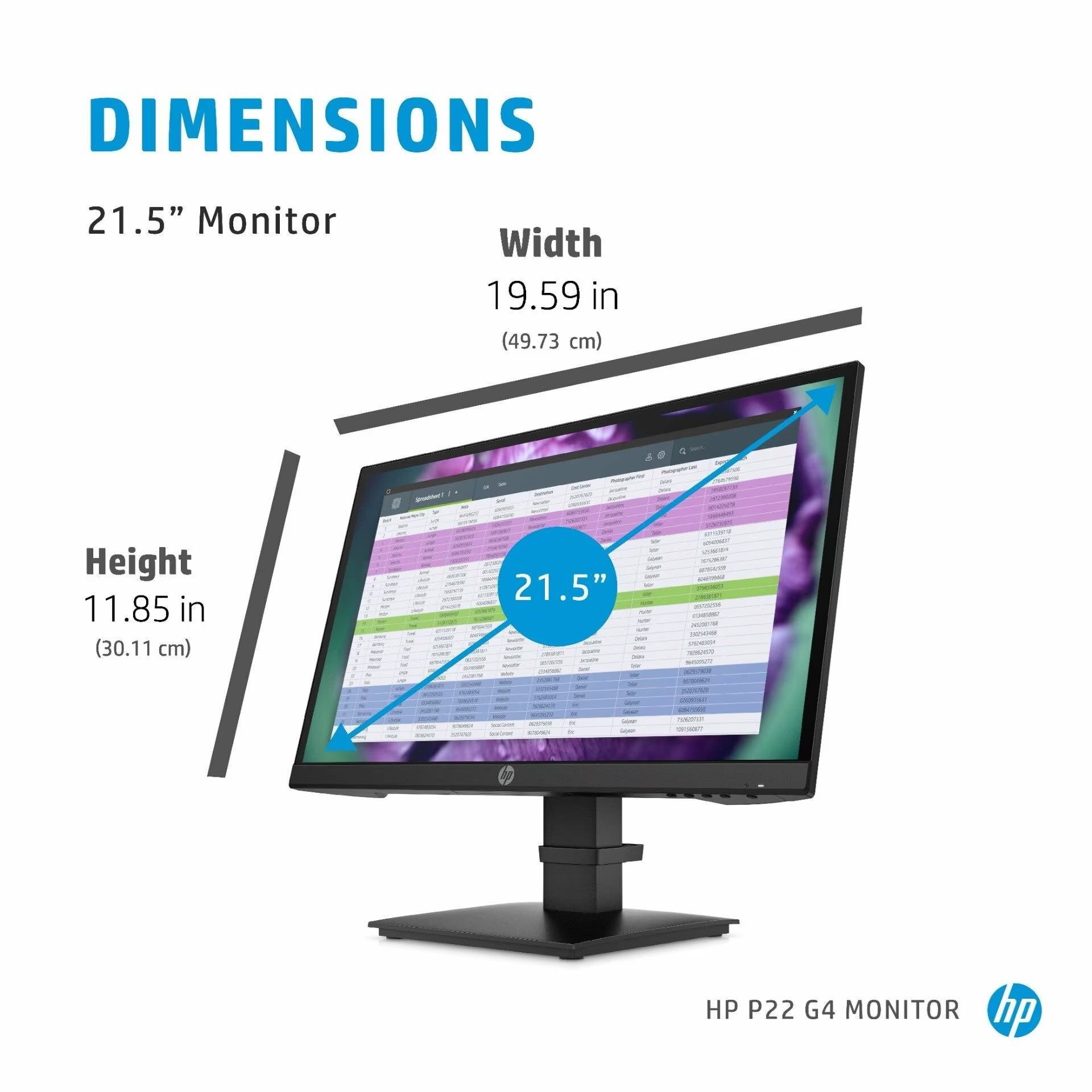 (NEW VENDOR) HP P22 G4 22 FHD Monitor